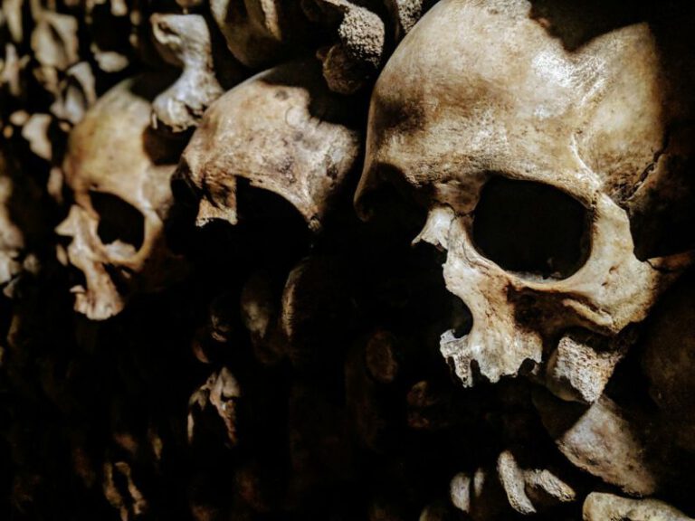 Who Knows the Secret of Catacombs, Paris?