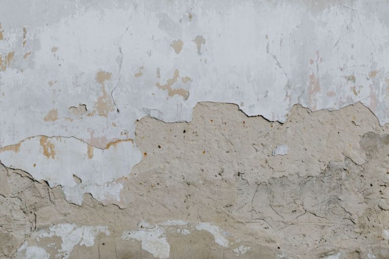 Old Wall - a bird is perched on a wall with peeling paint