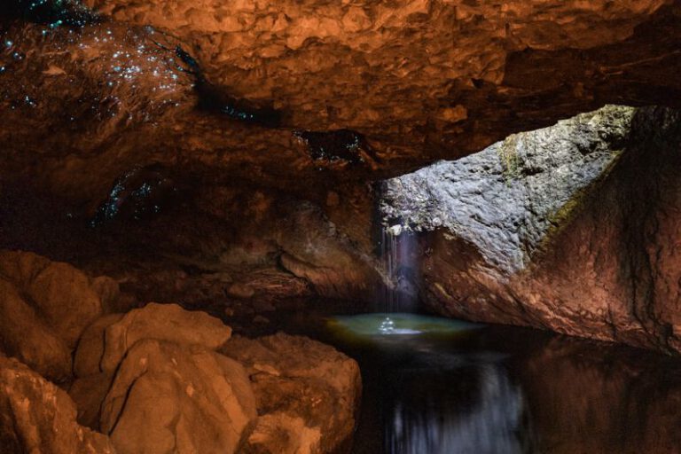 Explore the Glowworm Caves, New Zealand: How?