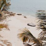Hidden Beach - coconut palm trees near seashore at daytime