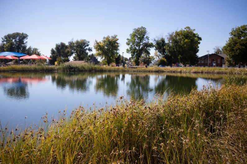 Clear Pond - a lake surrounded by tall grass and trees